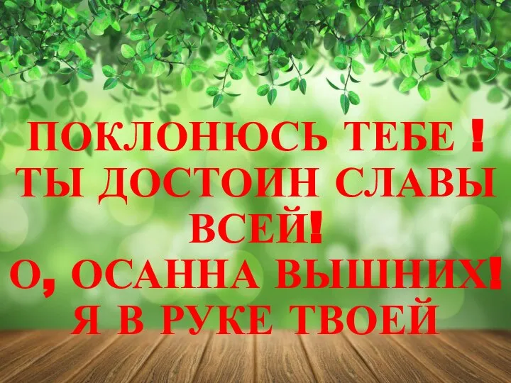 ПОКЛОНЮСЬ ТЕБЕ ! ТЫ ДОСТОИН СЛАВЫ ВСЕЙ! О, ОСАННА ВЫШНИХ!Я В РУКЕ ТВОЕЙ