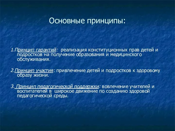 Основные принципы: 1.Принцип гарантий: реализация конституционных прав детей и подростков на