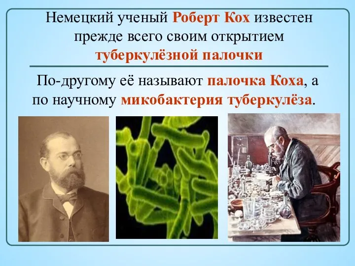 Немецкий ученый Роберт Кох известен прежде всего своим открытием туберкулёзной палочки
