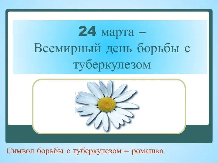 24 марта – Всемирный день борьбы с туберкулезом Символ борьбы с туберкулезом – ромашка