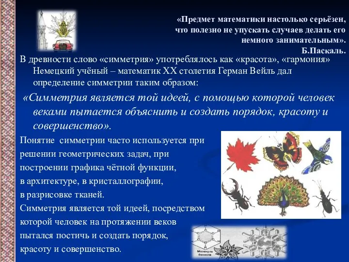 «Предмет математики настолько серьёзен, что полезно не упускать случаев делать его