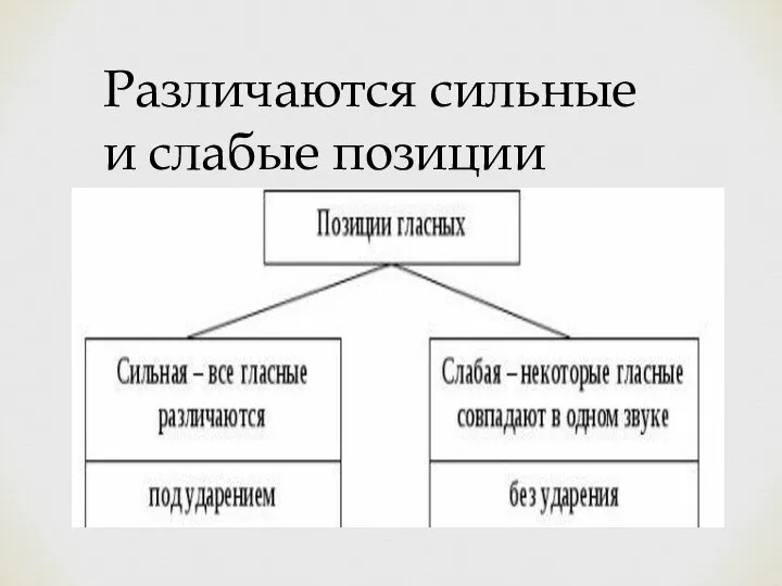 Различаются сильные и слабые позиции фонем: Сильная позиция – под ударением Слабая позиция – без ударения