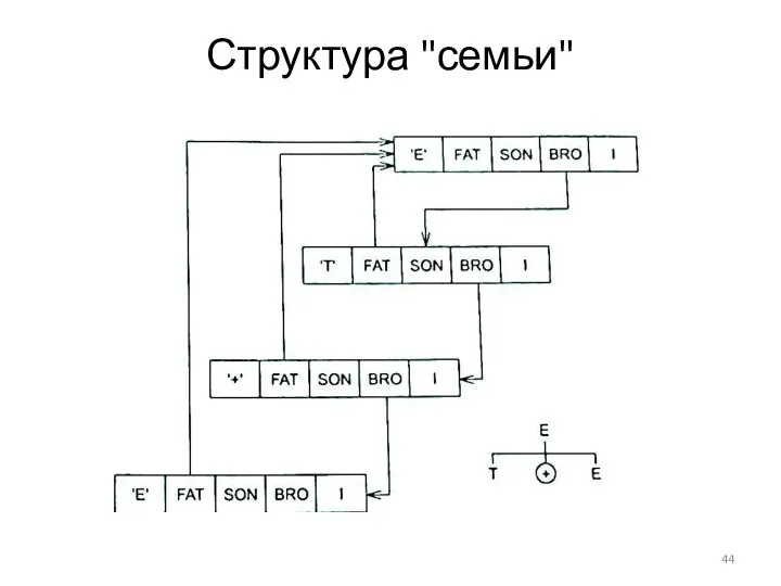 Структура "семьи"