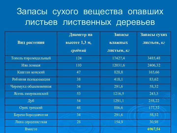 Запасы сухого вещества опавших листьев лиственных деревьев