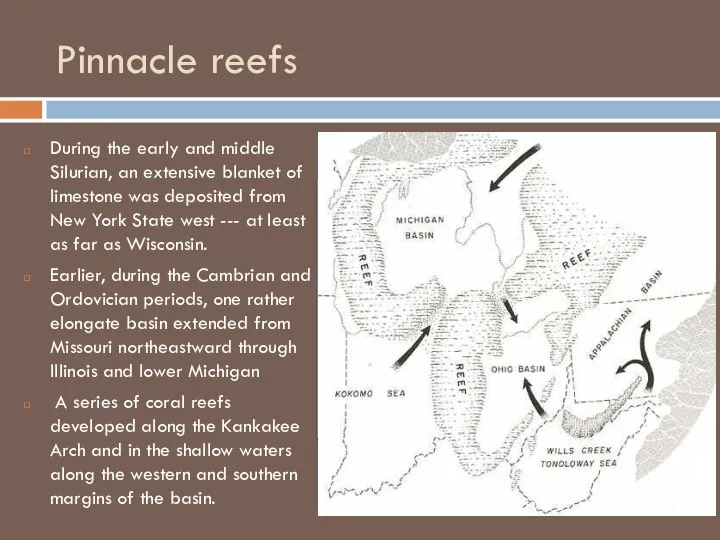 Pinnacle reefs During the early and middle Silurian, an extensive blanket