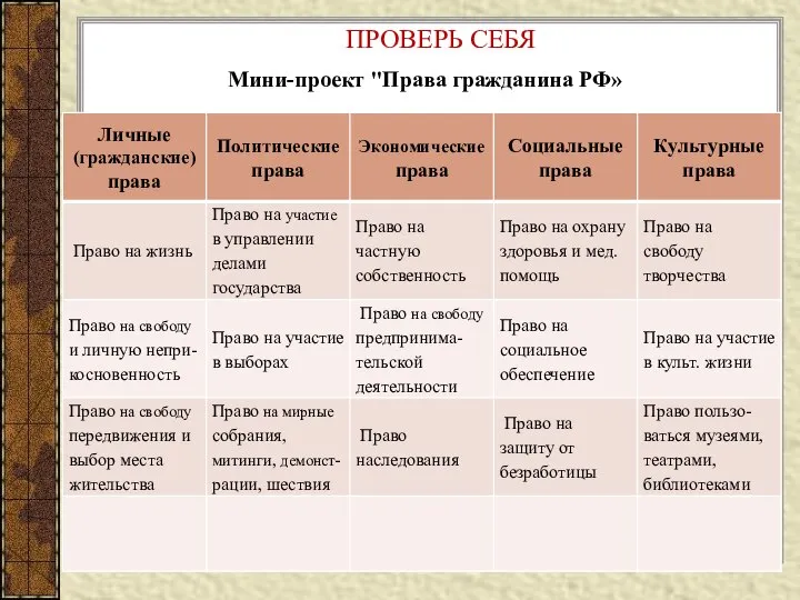 ПРОВЕРЬ СЕБЯ Мини-проект "Права гражданина РФ»