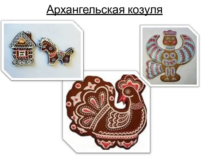 Архангельская козуля