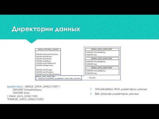 Директории данных typedef struct _IMAGE_DATA_DIRECTORY { DWORD VirtualAddress; DWORD Size; }