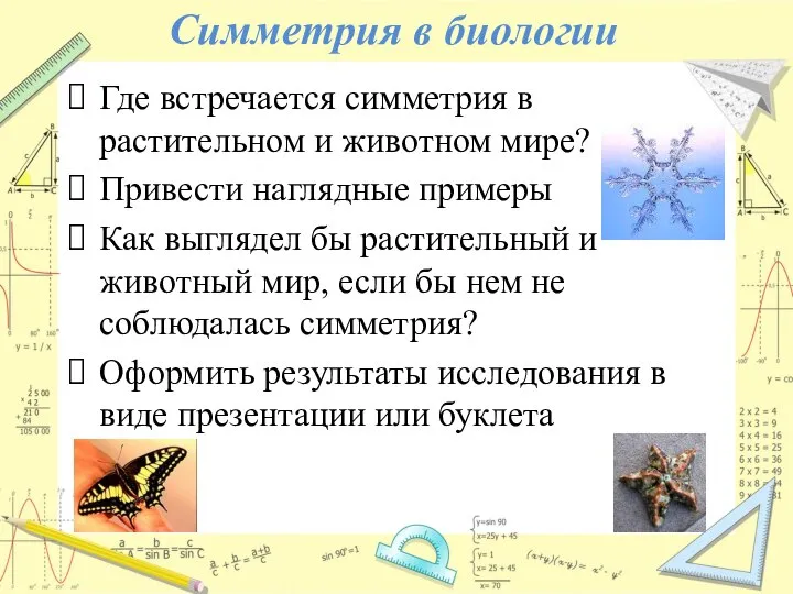 Симметрия в биологии Где встречается симметрия в растительном и животном мире?