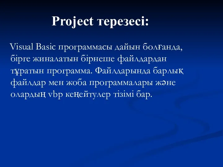 Project терезесі: Visual Basic программасы дайын болғанда, бірге жиналатын бірнеше файлдардан
