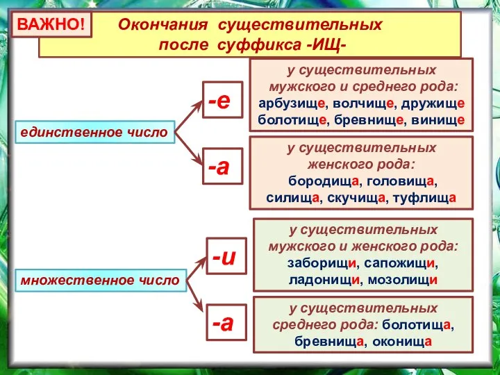 Окончания существительных после суффикса -ИЩ- -е -а -и единственное число множественное