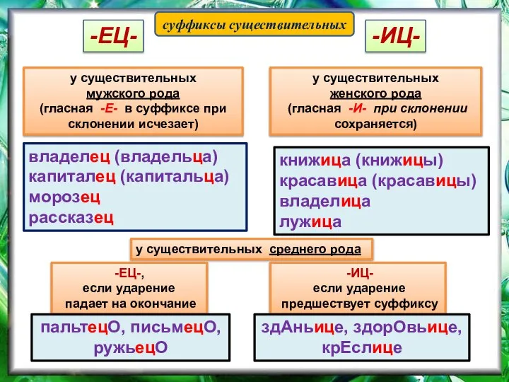 -ИЦ- -ЕЦ- у существительных мужского рода (гласная -Е- в суффиксе при