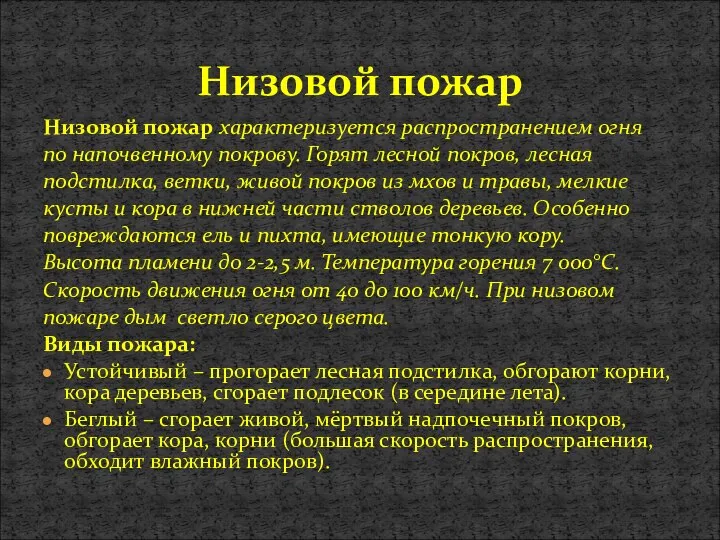 Низовой пожар Низовой пожар характеризуется распространением огня по напочвенному покрову. Горят