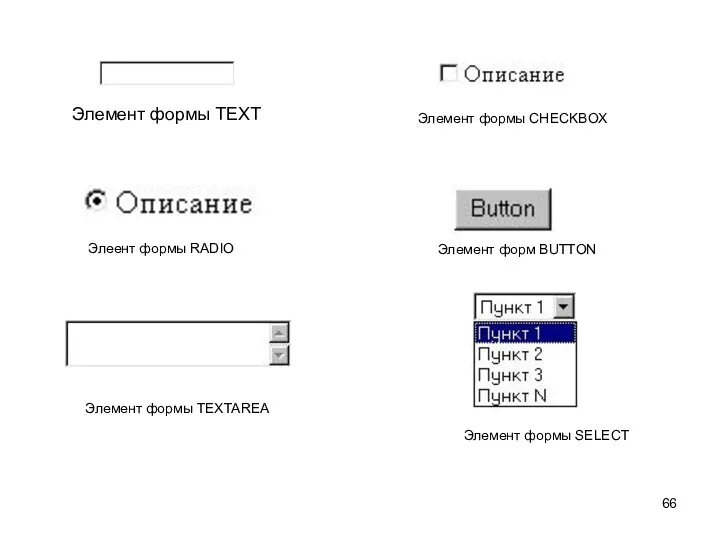 Элемент формы TEXT Элемент формы CHECKBOX Элеент формы RADIO Элемент форм