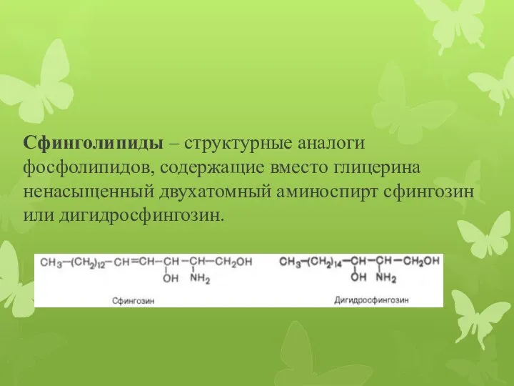 Сфинголипиды – структурные аналоги фосфолипидов, содержащие вместо глицерина ненасыщенный двухатомный аминоспирт сфингозин или дигидросфингозин.