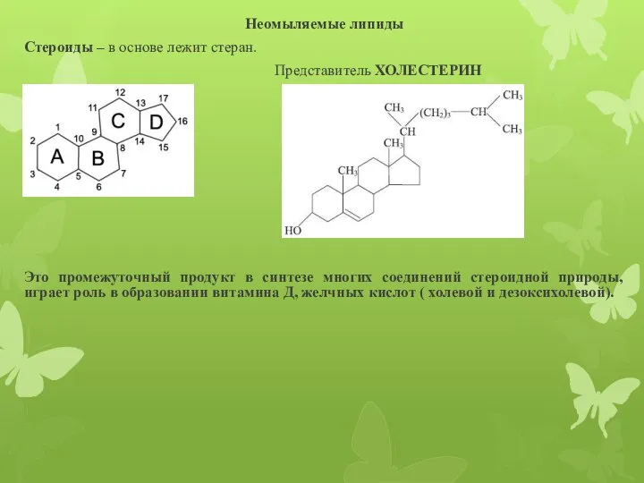 Неомыляемые липиды Стероиды – в основе лежит стеран. Представитель ХОЛЕСТЕРИН Это