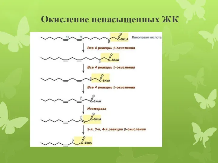 Окисление ненасыщенных ЖК