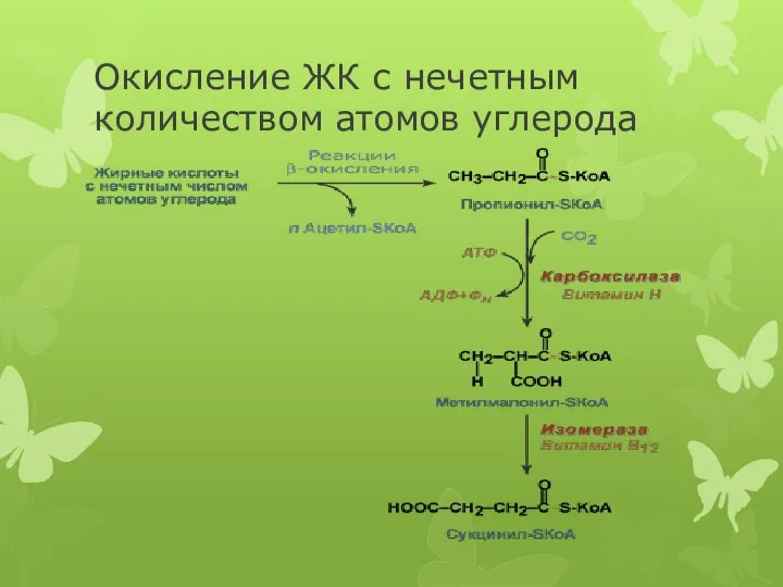 Окисление ЖК с нечетным количеством атомов углерода