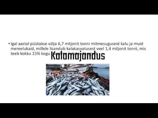 Kalamajandus Igal aastal püütakse välja 6,7 miljonit tonni mitmesuguseid kalu ja