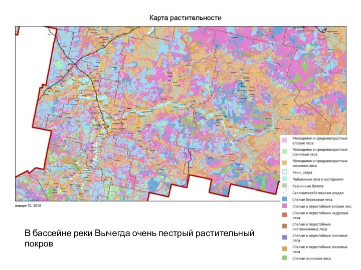 В бассейне реки Вычегда очень пестрый растительный покров