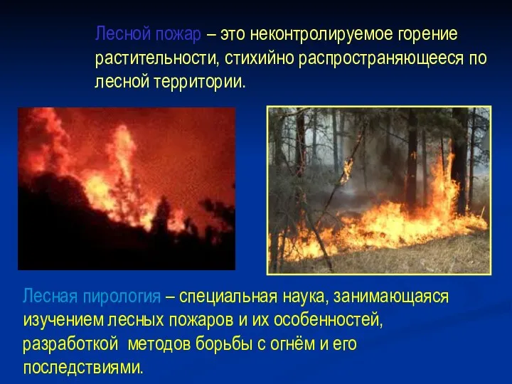 Лесной пожар – это неконтролируемое горение растительности, стихийно распространяющееся по лесной