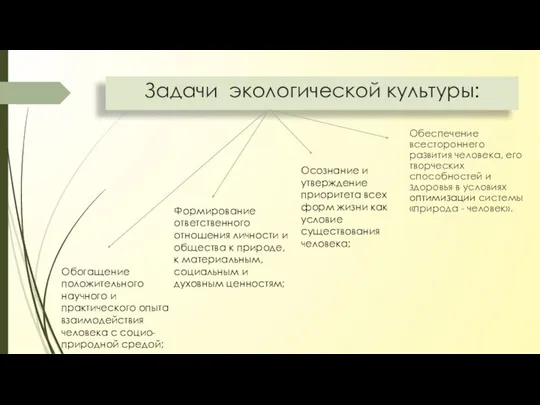 Задачи экологической культуры: Обеспечение всестороннего развития человека, его творческих способностей и