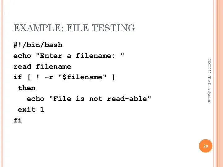 EXAMPLE: FILE TESTING #!/bin/bash echo "Enter a filename: " read filename