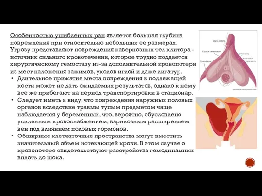 Особенностью ушибленных ран является большая глубина повреждения при относительно небольших ее