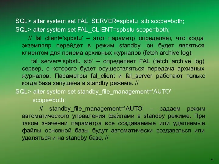 SQL> alter system set FAL_SERVER=spbstu_stb scope=both; SQL> alter system set FAL_CLIENT=spbstu