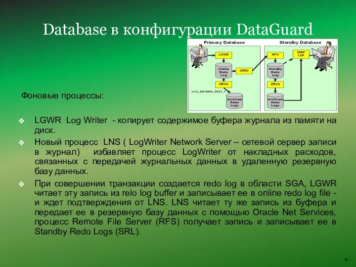 Database в конфигурации DataGuard Фоновые процессы: LGWR Log Writer - копирует