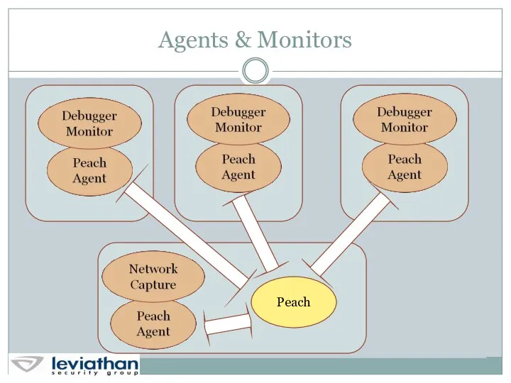 Agents & Monitors Peach