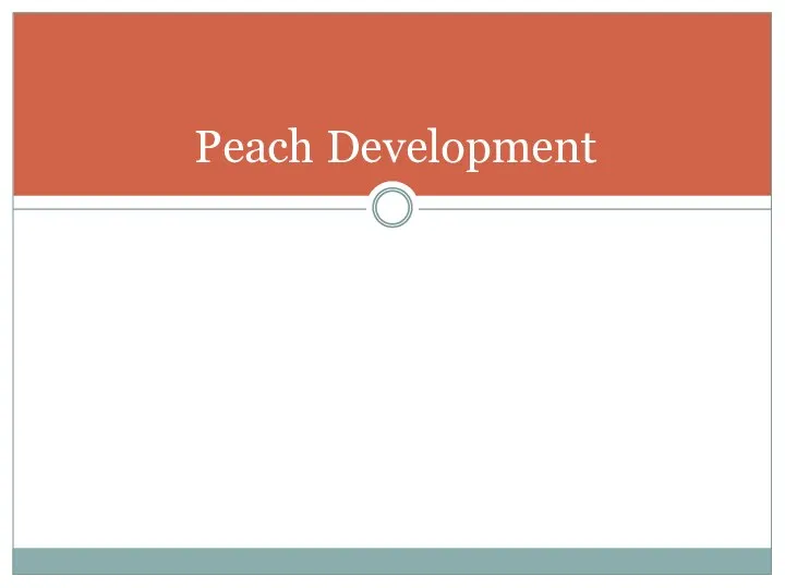 Peach Development