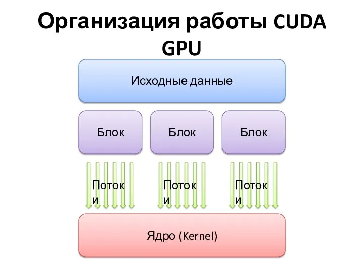 Организация работы CUDA GPU