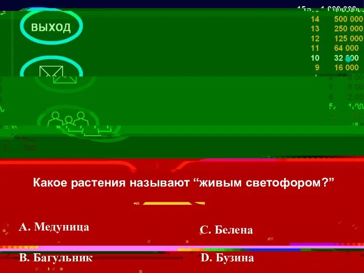 Какое растения называют “живым светофором?” A. Медуница В. Багульник С. Белена D. Бузина