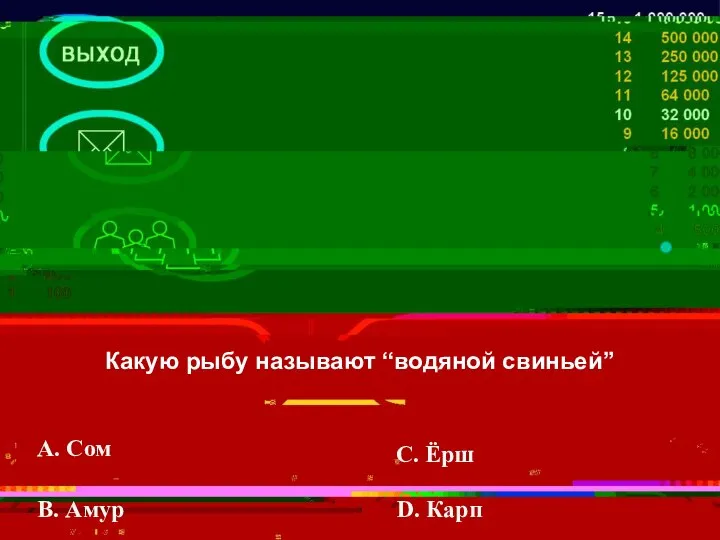 Какую рыбу называют “водяной свиньей” A. Сом В. Амур С. Ёрш D. Карп