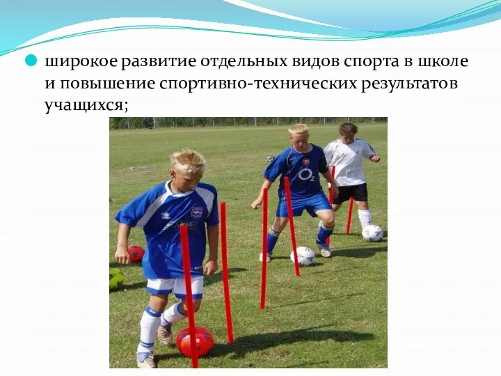 широкое развитие отдельных видов спорта в школе и повышение спортивно-технических результатов учащихся;