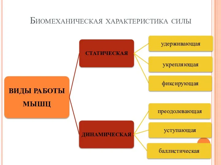 Биомеханическая характеристика силы