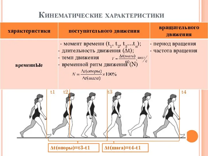 Кинематические характеристики t1 t2 t3 t4 Δt(опоры)=t3-t1 Δt(шага)=t4-t1