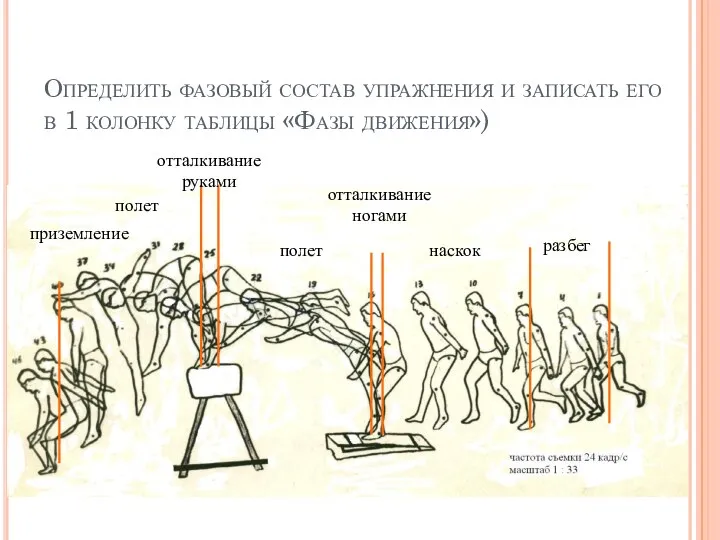 Определить фазовый состав упражнения и записать его в 1 колонку таблицы