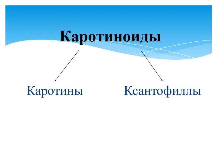 Каротины Каротиноиды Ксантофиллы