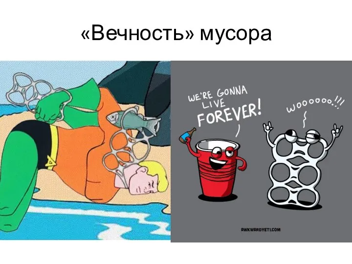 «Вечность» мусора