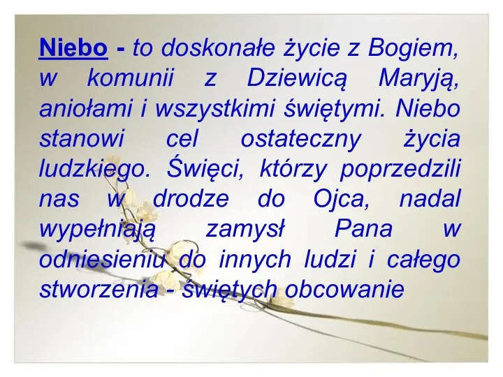 Niebo - to doskonałe życie z Bogiem, w komunii z Dziewicą