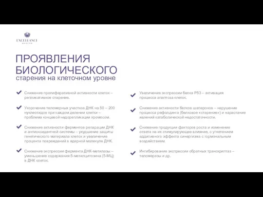 ПРОЯВЛЕНИЯ БИОЛОГИЧЕСКОГО Снижение пролиферативной активности клеток – репликативное старение. старения на