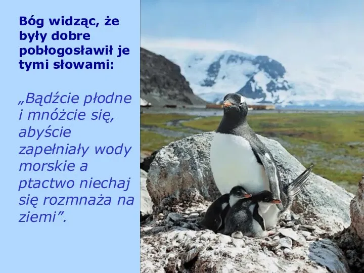 Bóg widząc, że były dobre pobłogosławił je tymi słowami: „Bądźcie płodne