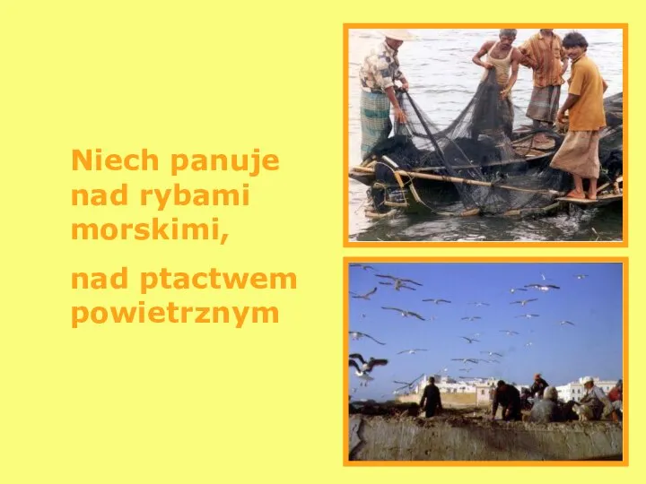 Niech panuje nad rybami morskimi, nad ptactwem powietrznym