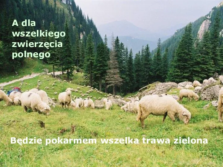 A dla wszelkiego zwierzęcia polnego Będzie pokarmem wszelka trawa zielona