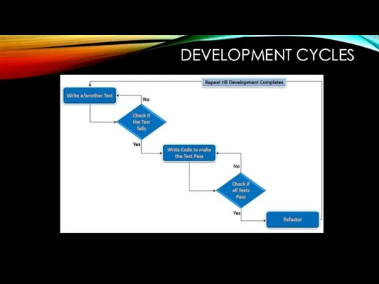 DEVELOPMENT CYCLES