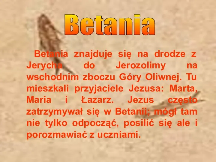 Betania znajduje się na drodze z Jerycha do Jerozolimy na wschodnim