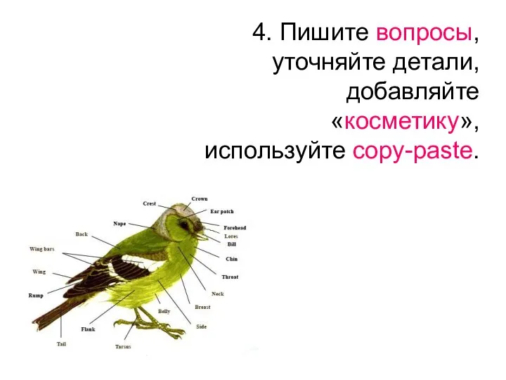 4. Пишите вопросы, уточняйте детали, добавляйте «косметику», используйте copy-paste.