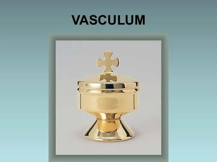 VASCULUM